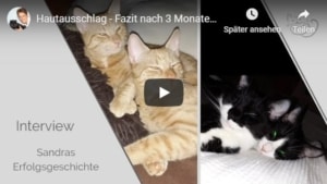 BARF Katzen mit Videotitel Interview
