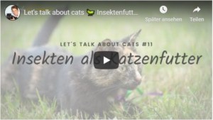 Katze im Gras mit Videotitel Insekten als Katzenfutter